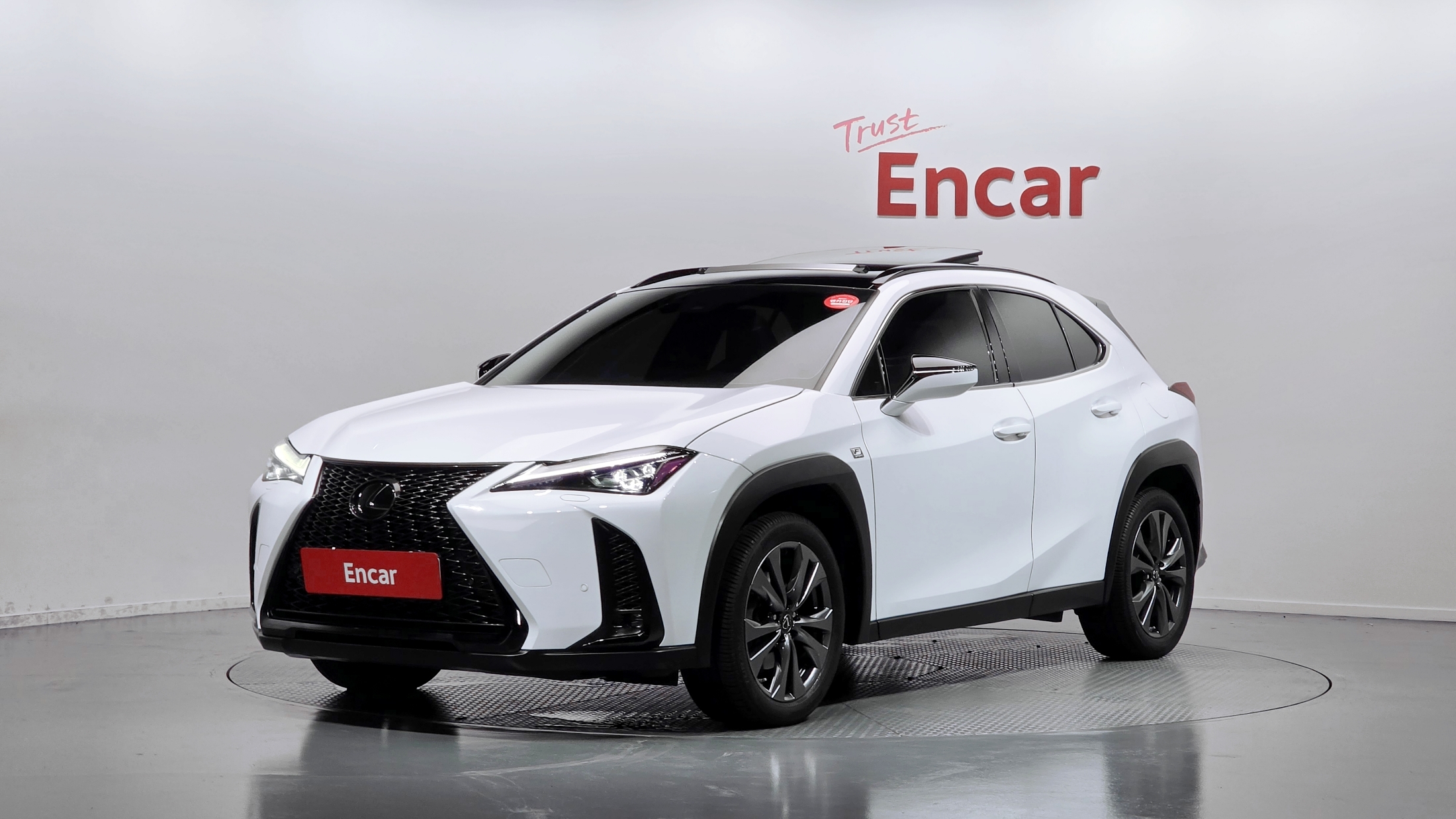 Lexus UX250h