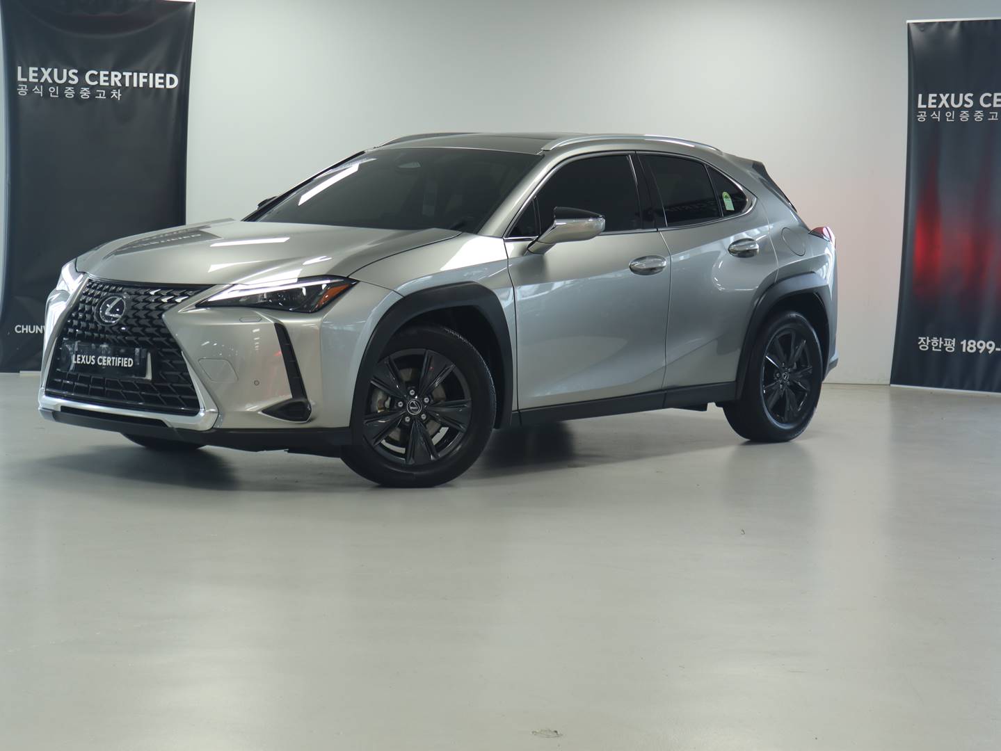 Lexus UX300h